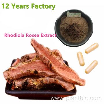 High purity Natural Rhodiola Rosea Extract Salidroside